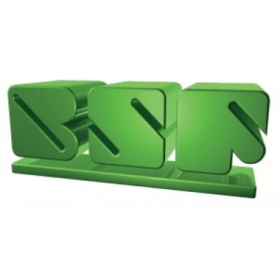 Logo BSF Bünter AG