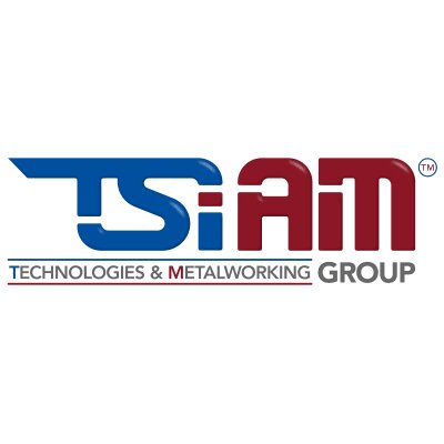 Logo TSI AM Group SRL
