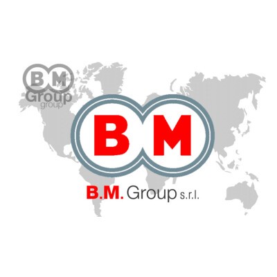 Logo B.M. Group srl