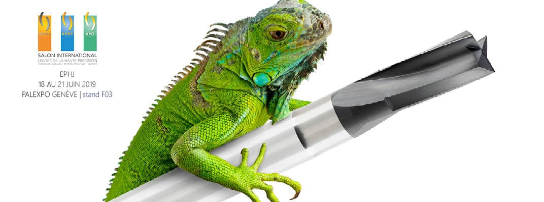 IGUANA – revolutionär.